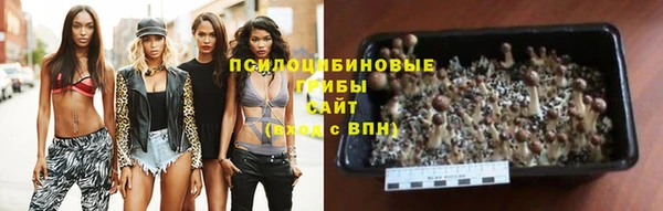 мет Арсеньев