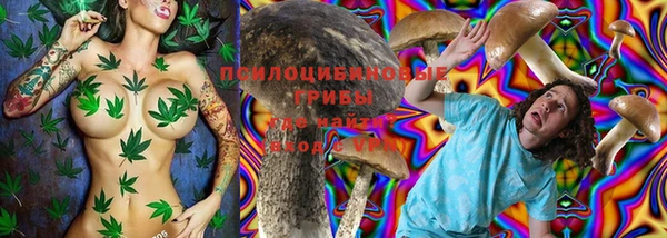 мет Арсеньев