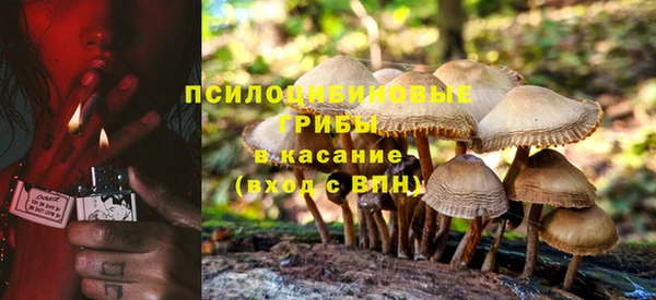 мет Арсеньев