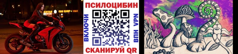 Псилоцибиновые грибы мицелий Приозерск