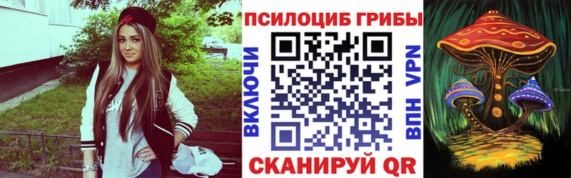 Галлюциногенные грибы мицелий мега ссылка Приозерск закладка